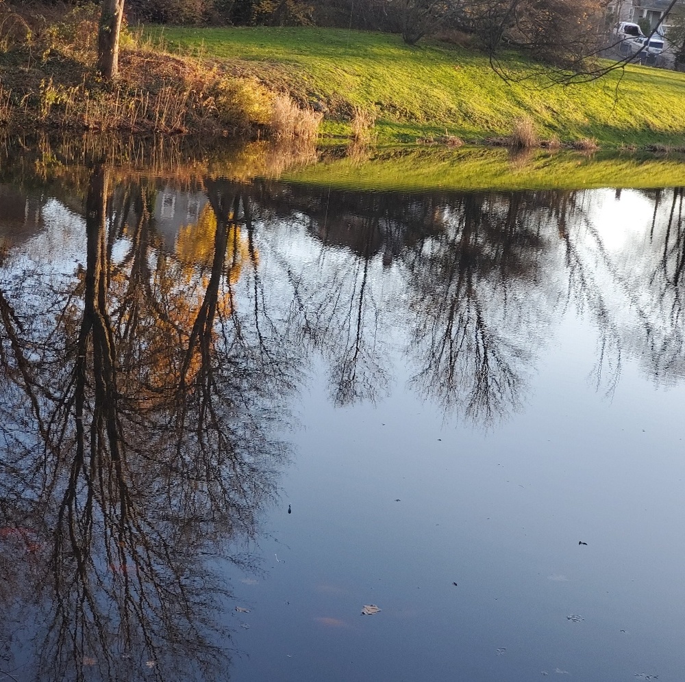 Meet your Posher, Lashani